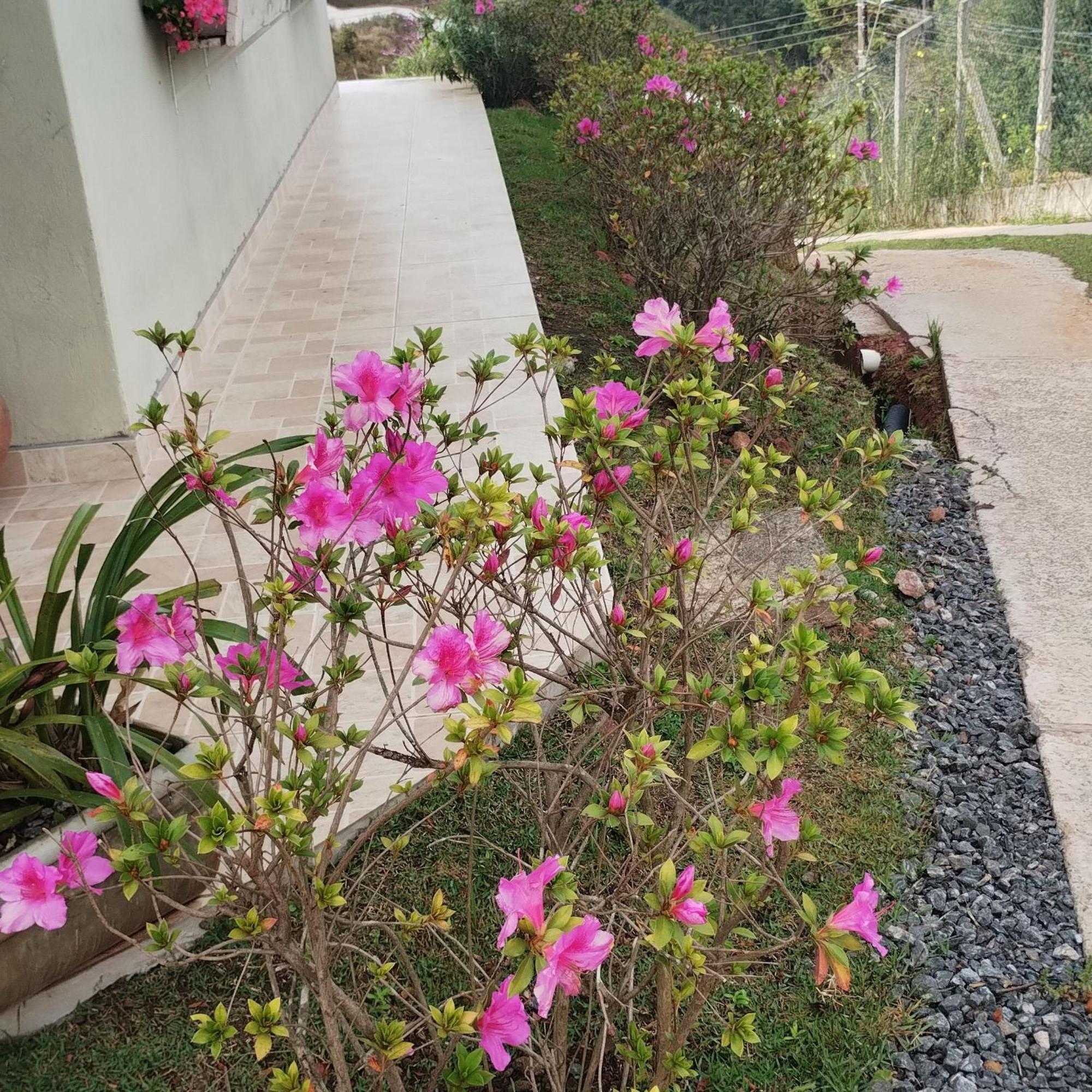Casa Flores Do Campo 度假居 *