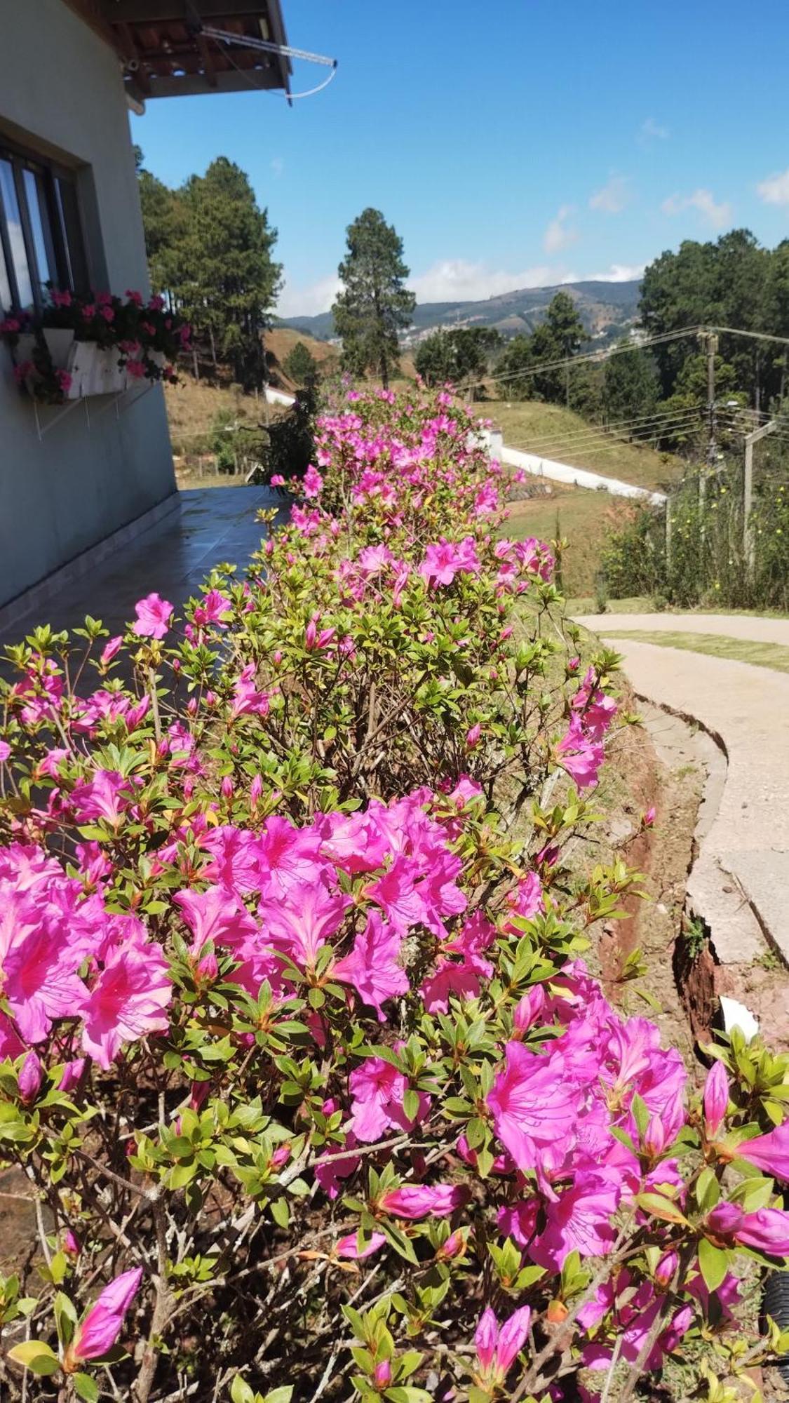 Holiday home Casa Flores Do Campo Campos do Jordao