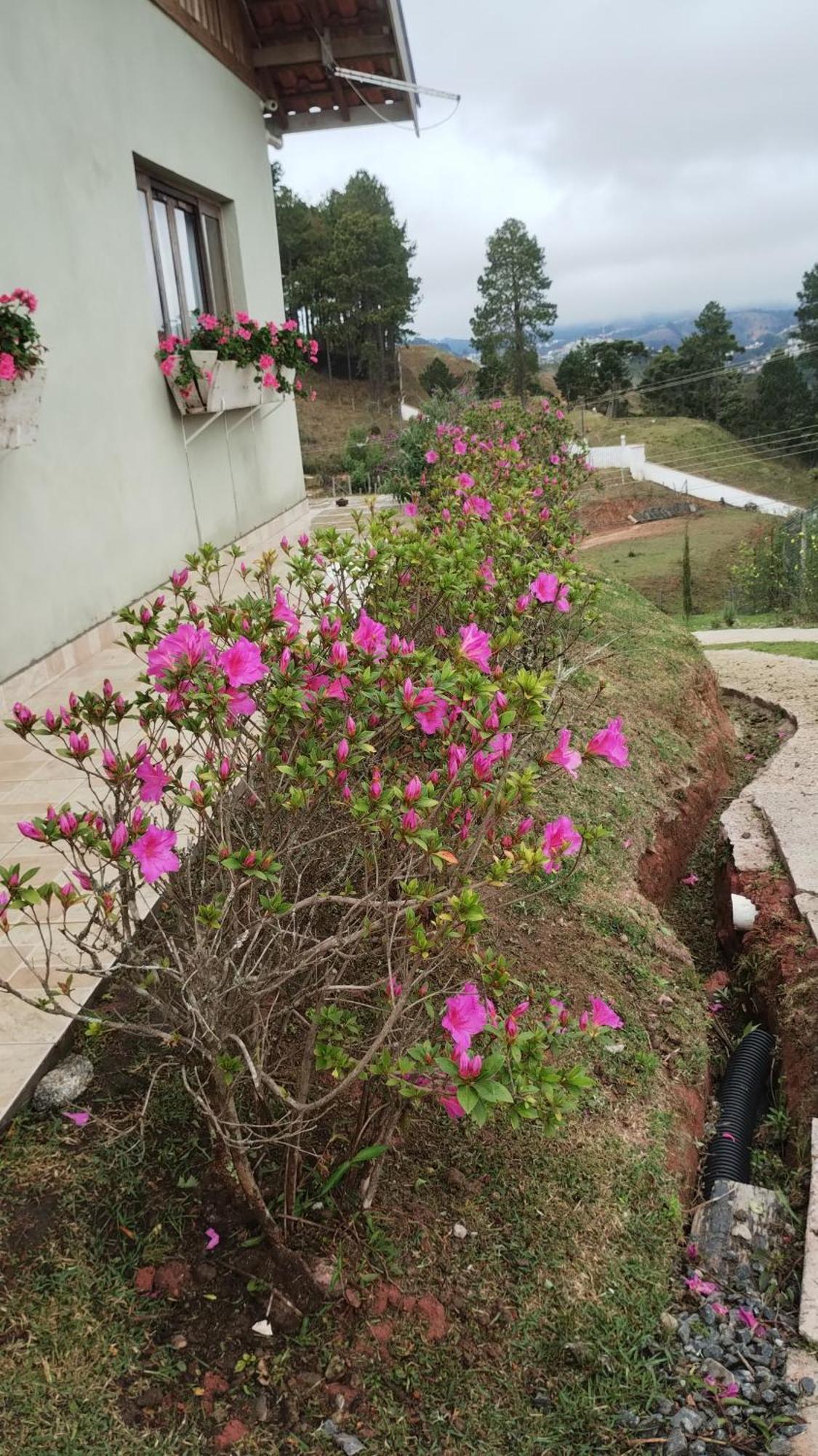 Holiday home Casa Flores Do Campo *